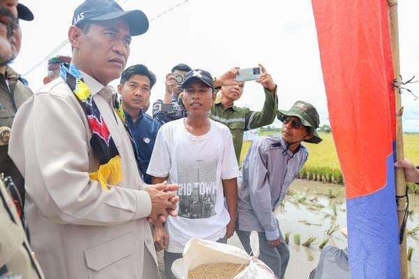 Tidak Serap Gabah Petani, Pemimpin Bulog Kalimantan Selatan Dicopot Tidak Serap Gabah Petani, Pemimpin Bulog Kalimantan Selatan Dicopot
