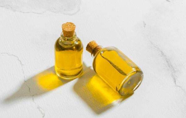 Benarkah Minyak Jarak Mampu Turunkan Berat Badan? Benarkah Minyak Jarak Mampu Turunkan Berat Badan?