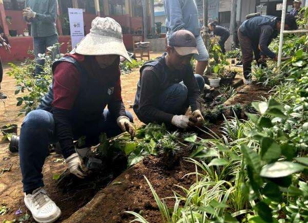 MNC Peduli dan MNC Land Ajarkan Konsep Green School di SDN Babakan Kencana Sukabumi MNC Peduli dan MNC Land Ajarkan Konsep Green School di SDN Babakan Kencana Sukabumi