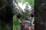 Mobil Wisatawan asal Tangerang Terjun ke Jurang 50 Meter di Gunung Halimun Salak Mobil Wisatawan asal Tangerang Terjun ke Jurang 50 Meter di Gunung Halimun Salak