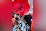 Momen HUT Ke-52 PDIP, Anggota DPR Ini Tunaikan Nazar Jalan Kaki 540 Km dari Jakarta Menuju Boyolali Momen HUT Ke-52 PDIP, Anggota DPR Ini Tunaikan Nazar Jalan Kaki 540 Km dari Jakarta Menuju Boyolali
