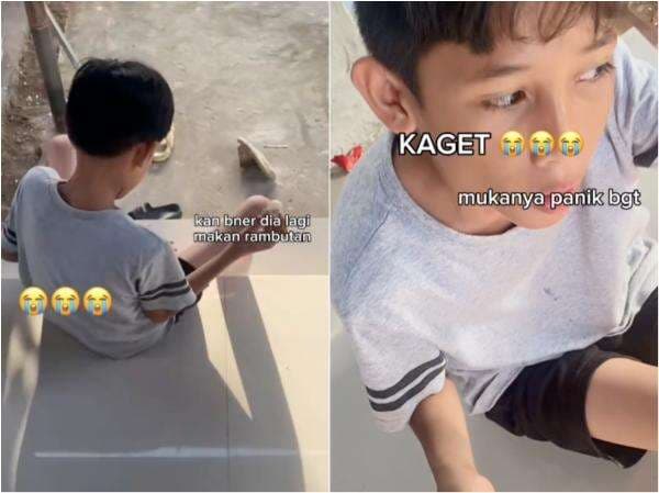 Momen Bocah Lupa Tengah Berpuasa Malah Asyik Makan Rambutan, Begini Endingnya Momen Bocah Lupa Tengah Berpuasa Malah Asyik Makan Rambutan, Begini Endingnya