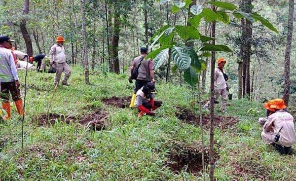 Negara Tak Bisa Batalkan HGU di Kawasan Hutan yang Belum Ditetapkan Negara Tak Bisa Batalkan HGU di Kawasan Hutan yang Belum Ditetapkan