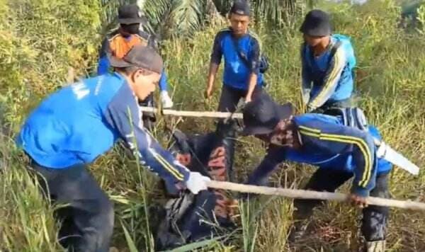 Ngeri! Warga Belitung Timur Tewas Diterkam Buaya di Sungai Rawa Degong