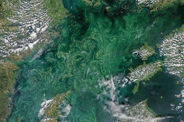 Ombak Setinggi 6 Meter Diprediksi Akan Menggulung Perairan Bali Ombak Setinggi 6 Meter Diprediksi Akan Menggulung Perairan Bali