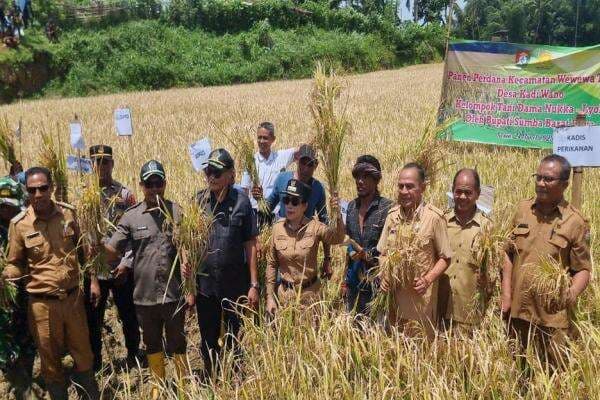 Panen Raya Padi, Anggota DPRD Sumba Barat Daya dari Perindo Yusuf Bora: Pacu Produksi untuk Ketahanan Pangan dan Sejahterakan Petani Panen Raya Padi, Anggota DPRD Sumba Barat Daya dari Perindo Yusuf Bora: Pacu Produksi untuk Ketahanan Pangan dan Sejahterakan Petani