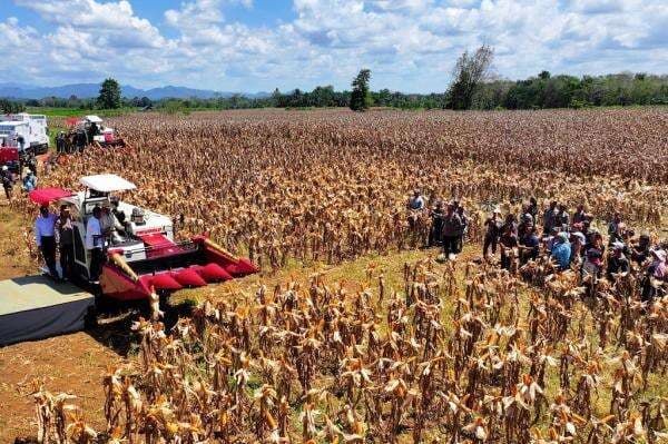 Polisi Ikut Memanen Jagung, DPR: Polri sudah Masuk ke Sistem Swasembada Pangan Polisi Ikut Memanen Jagung, DPR: Polri sudah Masuk ke Sistem Swasembada Pangan