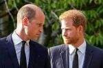 Pangeran Harry Hapus Jejak William di Film Dokumenter, Memperburuk Masalah Keluarga Kerajaan Pangeran Harry Hapus Jejak William di Film Dokumenter, Memperburuk Masalah Keluarga Kerajaan