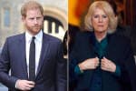 Pangeran Harry Kembali ke Inggris, Ratu Camilla Putuskan Keluar dari Istana Pangeran Harry Kembali ke Inggris, Ratu Camilla Putuskan Keluar dari Istana