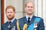 Pangeran William dan Harry Ternyata Sudah Tak Berkomunikasi Hampir 2 Tahun Pangeran William dan Harry Ternyata Sudah Tak Berkomunikasi Hampir 2 Tahun