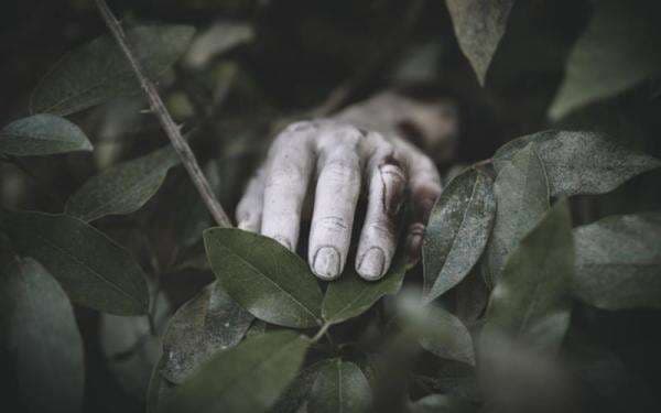 Pasangan Lansia di Lebak Tewas Misterius di Dalam Gubuk Pasangan Lansia di Lebak Tewas Misterius di Dalam Gubuk