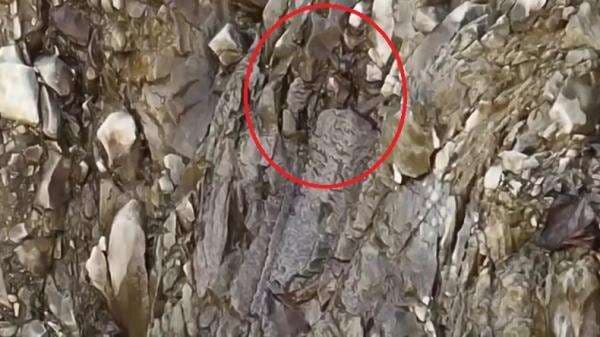 Penampakan Patahan dan Aliran Air di Tebing Gunung Kuda, Berisiko Longsor Susulan Penampakan Patahan dan Aliran Air di Tebing Gunung Kuda, Berisiko Longsor Susulan