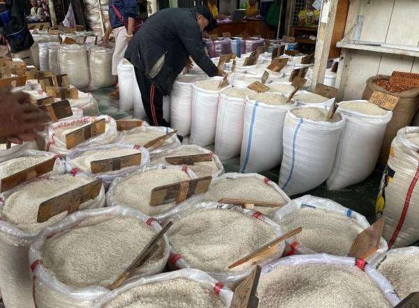 Pedagang Pasar Induk Cipinang Sebut Isu Beras Oplosan Bikin Penjualan Turun Pedagang Pasar Induk Cipinang Sebut Isu Beras Oplosan Bikin Penjualan Turun
