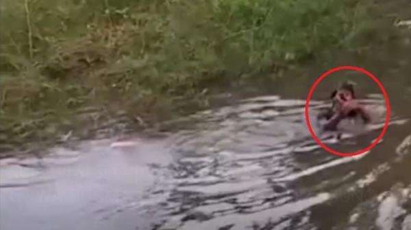 Panik Digerebek Polisi, Pelaku Judi Sabung Ayam di Gowa Nekat Berupaya Kabur Nyebur ke Danau Panik Digerebek Polisi, Pelaku Judi Sabung Ayam di Gowa Nekat Berupaya Kabur Nyebur ke Danau