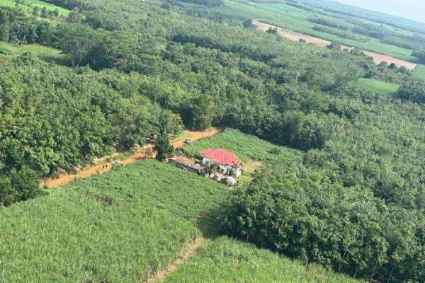 Penampakan Udara Lokasi Judi Sabung Ayam Maut Tewaskan 3 Polisi di Way Kanan Lampung Penampakan Udara Lokasi Judi Sabung Ayam Maut Tewaskan 3 Polisi di Way Kanan Lampung