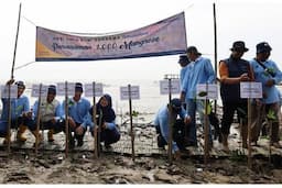 Penanaman 1.000 Bibit Mangrove di Kabupaten Pati dalam Rangka Hari Bumi 2024