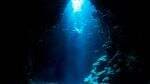 Penemuan Predator Laut Misterius Dulcibella Camanchaca di Palung Atacama Kejutkan Ilmuwan Penemuan Predator Laut Misterius Dulcibella Camanchaca di Palung Atacama Kejutkan Ilmuwan