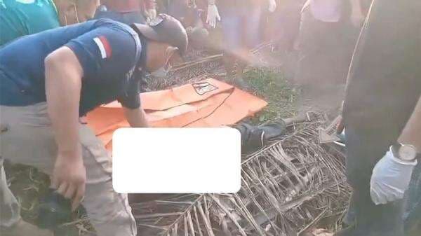 Terungkap! Temuan Pria Tewas di Kebun Sawit Labusel, Dibunuh Pencuri saat Tepergok Korban Terungkap! Temuan Pria Tewas di Kebun Sawit Labusel, Dibunuh Pencuri saat Tepergok Korban