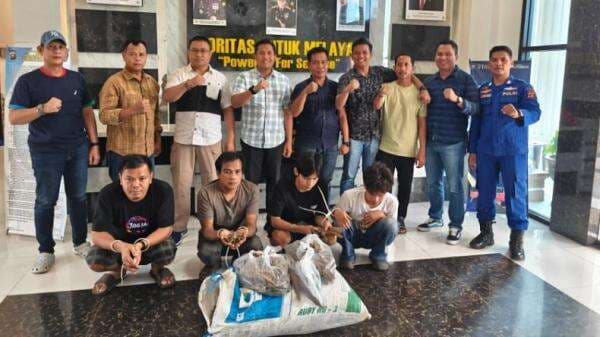 Kronologi Penyelundupan Sisik Tenggiling di Jambi Terungkap, Berawal Mobil Agya Mencurigakan Kronologi Penyelundupan Sisik Tenggiling di Jambi Terungkap, Berawal Mobil Agya Mencurigakan