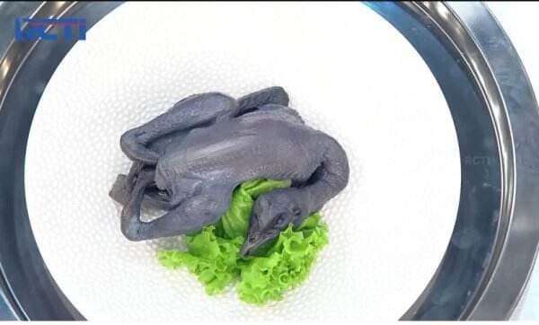 Peserta MasterChef Season 12 Kebingungan Harus Mengolah Ayam Cemani Peserta MasterChef Season 12 Kebingungan Harus Mengolah Ayam Cemani