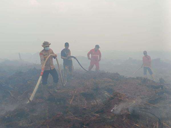 Petugas Kewalahan Padamkan Api di Lahan Gambut Muarojambi, Ini Penyebabnya Petugas Kewalahan Padamkan Api di Lahan Gambut Muarojambi, Ini Penyebabnya