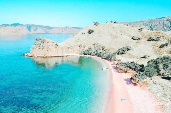 Pink Beach Pulau Komodo dan Pantai Kelingking Bali Masuk Daftar The World's Best Beaches Pink Beach Pulau Komodo dan Pantai Kelingking Bali Masuk Daftar The World's Best Beaches