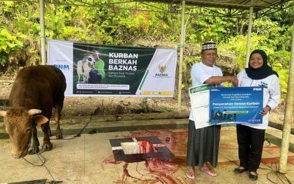 Kolaborasi PNM dan BAZNAS Salurkan Hewan Kurban untuk Masyarakat 3T Kolaborasi PNM dan BAZNAS Salurkan Hewan Kurban untuk Masyarakat 3T