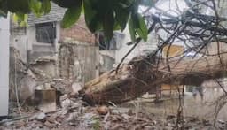 Pohon Beringin Raksasa Tumbang di Bandung, Timpa Rumah dan Warung