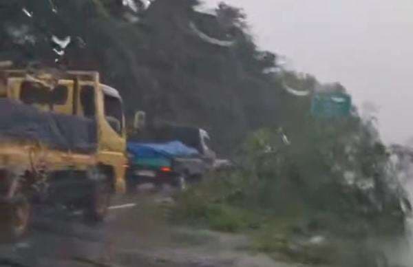 Pohon Tumbang, Rekayasa Lalin Diterapkan di Tol Jagorawi Akses Keluar Karanggan KM 24 Pohon Tumbang, Rekayasa Lalin Diterapkan di Tol Jagorawi Akses Keluar Karanggan KM 24