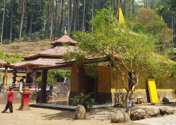 Pohon Dewandaru Jadi Penanda Mitos Pesugihan di Gunung Kawi Pohon Dewandaru Jadi Penanda Mitos Pesugihan di Gunung Kawi