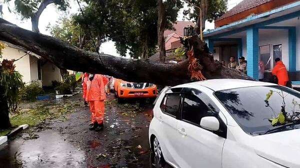 Pohon Tumbang di Alun-Alun Langkat Timpa Kerumunan Orang dan Kendaraan, 1 Siswi SMA Tewas Pohon Tumbang di Alun-Alun Langkat Timpa Kerumunan Orang dan Kendaraan, 1 Siswi SMA Tewas