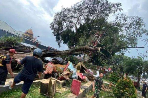 3 Orang Tewas Tertimpa Pohon Tumbang saat Salat Id di Pemalang, Kemensos Cari Ahli Waris 3 Orang Tewas Tertimpa Pohon Tumbang saat Salat Id di Pemalang, Kemensos Cari Ahli Waris