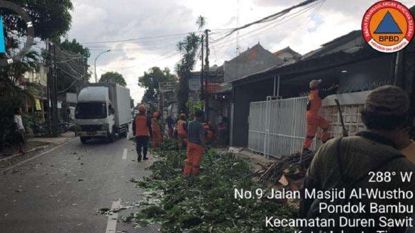 Angin Kencang, Pohon Tumbang Timpa Kanopi Rumah di Duren Sawit Jaktim Angin Kencang, Pohon Tumbang Timpa Kanopi Rumah di Duren Sawit Jaktim