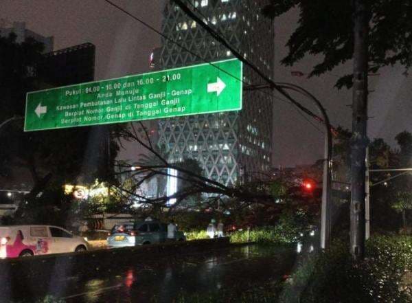 Hujan Angin, Pohon Tumbang Timpa Mobil di Jalan Kebon Sirih Jakpus Hujan Angin, Pohon Tumbang Timpa Mobil di Jalan Kebon Sirih Jakpus