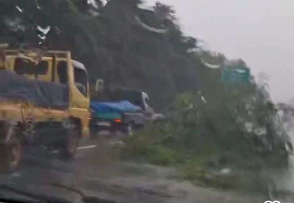 Ada Pohon Tumbang Terbawa Angin di Tol Jagorawi, Rekayasa Lalin Diterapkan Ada Pohon Tumbang Terbawa Angin di Tol Jagorawi, Rekayasa Lalin Diterapkan