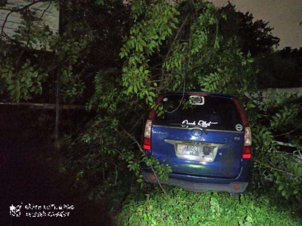 Pohon Tumbang Timpa 3 Mobil di Cakung Jakarta Timur Pohon Tumbang Timpa 3 Mobil di Cakung Jakarta Timur