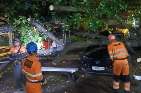 Hujan Deras, Pohon Tumbang Timpa Mobil di Bogor Hujan Deras, Pohon Tumbang Timpa Mobil di Bogor