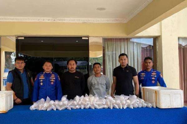 Polairud Gagalkan Penyelundupan 11.543 Benih Lobster di Sukabumi, 2 Orang Ditangkap Polairud Gagalkan Penyelundupan 11.543 Benih Lobster di Sukabumi, 2 Orang Ditangkap