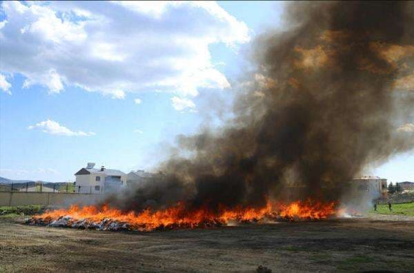 Polisi Bakar 20 Ton Ganja Sitaan, Puluhan Ribu Warga Teler Massal Polisi Bakar 20 Ton Ganja Sitaan, Puluhan Ribu Warga Teler Massal