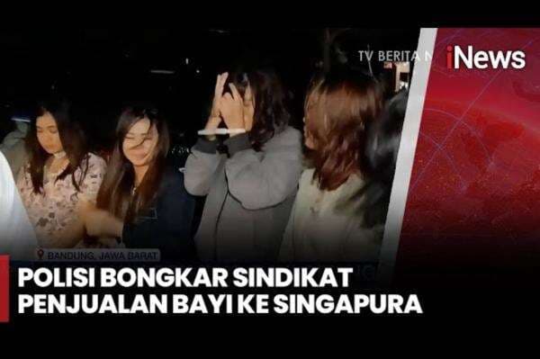 Polisi Bongkar Sindikat Penjualan Bayi ke Singapura, 12 Wanita Muda Ditangkap Polisi Bongkar Sindikat Penjualan Bayi ke Singapura, 12 Wanita Muda Ditangkap