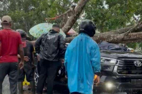 Polisi Tewas Tertimpa Pohon Tumbang di Tanjab Timur Jambi, Istri dan Anak Terluka Polisi Tewas Tertimpa Pohon Tumbang di Tanjab Timur Jambi, Istri dan Anak Terluka