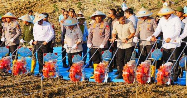 Cara Polri Wujudkan Swasembada dan Ketahanan Pangan Nasional Cara Polri Wujudkan Swasembada dan Ketahanan Pangan Nasional