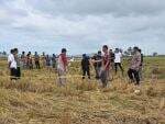 Pria Sidrap Tewas di Sawah, Diduga Dibunuh Kakak-Adik Gegara Perselisihan Peternak Pria Sidrap Tewas di Sawah, Diduga Dibunuh Kakak-Adik Gegara Perselisihan Peternak
