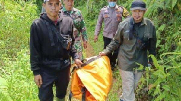 Pria Tewas Mengenaskan Diterkam Harimau di Lampung Barat, Tersisa Bagian Kepala Pria Tewas Mengenaskan Diterkam Harimau di Lampung Barat, Tersisa Bagian Kepala