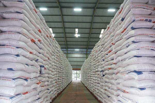 Produksi Beras Diproyeksi Naik Capai 24,97 Juta Ton hingga Agustus 2025 Produksi Beras Diproyeksi Naik Capai 24,97 Juta Ton hingga Agustus 2025