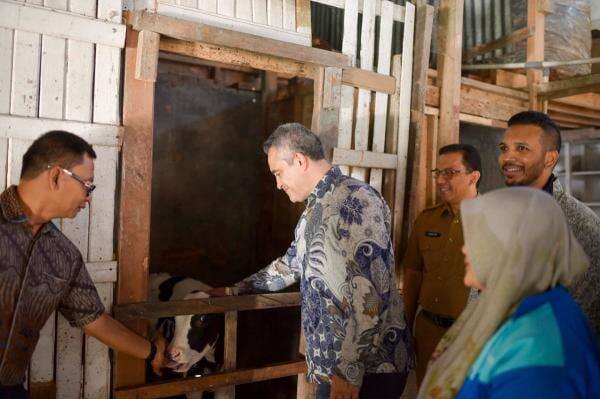 Produsen Olahan Susu Ini Perkuat Dairy Development di Padang Panjang Produsen Olahan Susu Ini Perkuat Dairy Development di Padang Panjang
