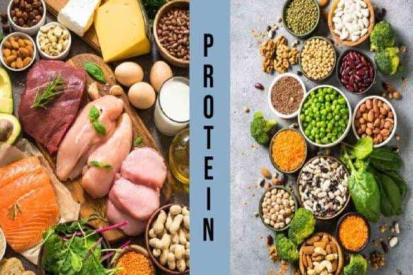 Protein Hewani vs Nabati, Mana yang Lebih Baik? Protein Hewani vs Nabati, Mana yang Lebih Baik?