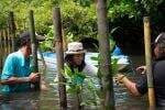 PTC dan Arunika Bumi Lestari Kolaborasi Program Penanaman Mangrove di Bali PTC dan Arunika Bumi Lestari Kolaborasi Program Penanaman Mangrove di Bali