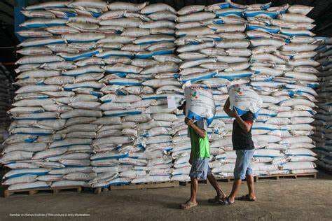 Pupuk Indonesia Siapkan 1,4 Juta Ton Pupuk Subsidi, Pastikan Musim Tanam Lancar Pupuk Indonesia Siapkan 1,4 Juta Ton Pupuk Subsidi, Pastikan Musim Tanam Lancar