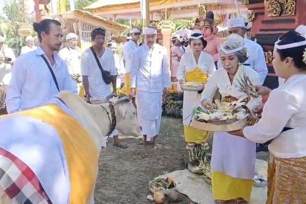 Puri Agung Karangasem Gelar Puncak Karya Baligia, Perindo Bali Apresiasi Generasi Muda Turut Jaga Warisan Adat Puri Agung Karangasem Gelar Puncak Karya Baligia, Perindo Bali Apresiasi Generasi Muda Turut Jaga Warisan Adat